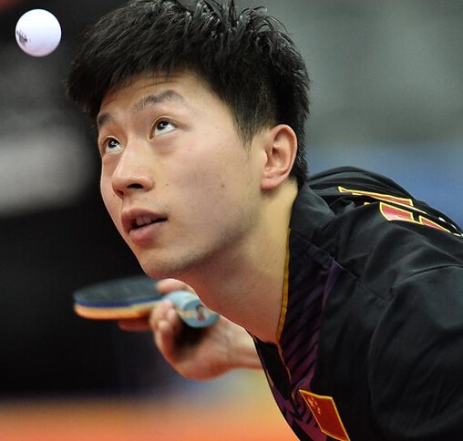 樊振东为何 樊振东为何