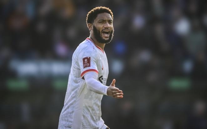 我们将更有 我们将更有