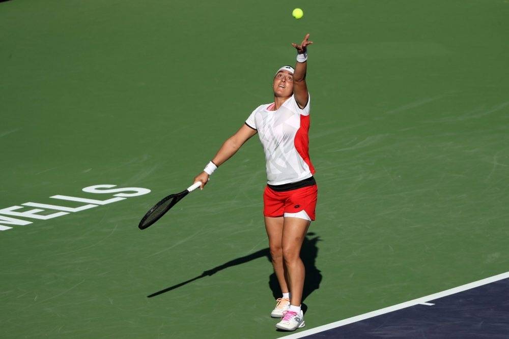 张镇麟加盟 张镇麟加盟