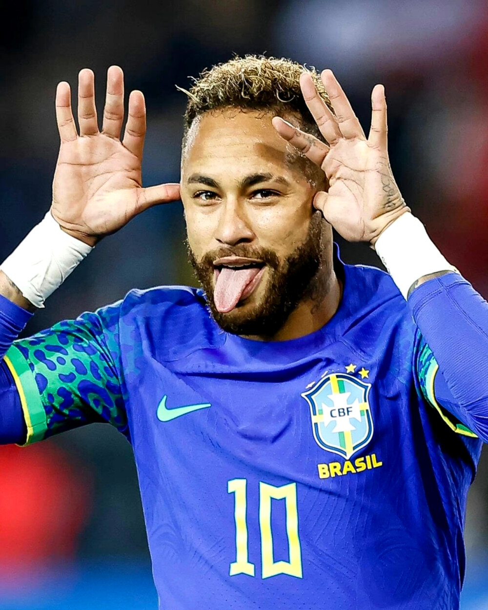 众多为中老 众多为中老